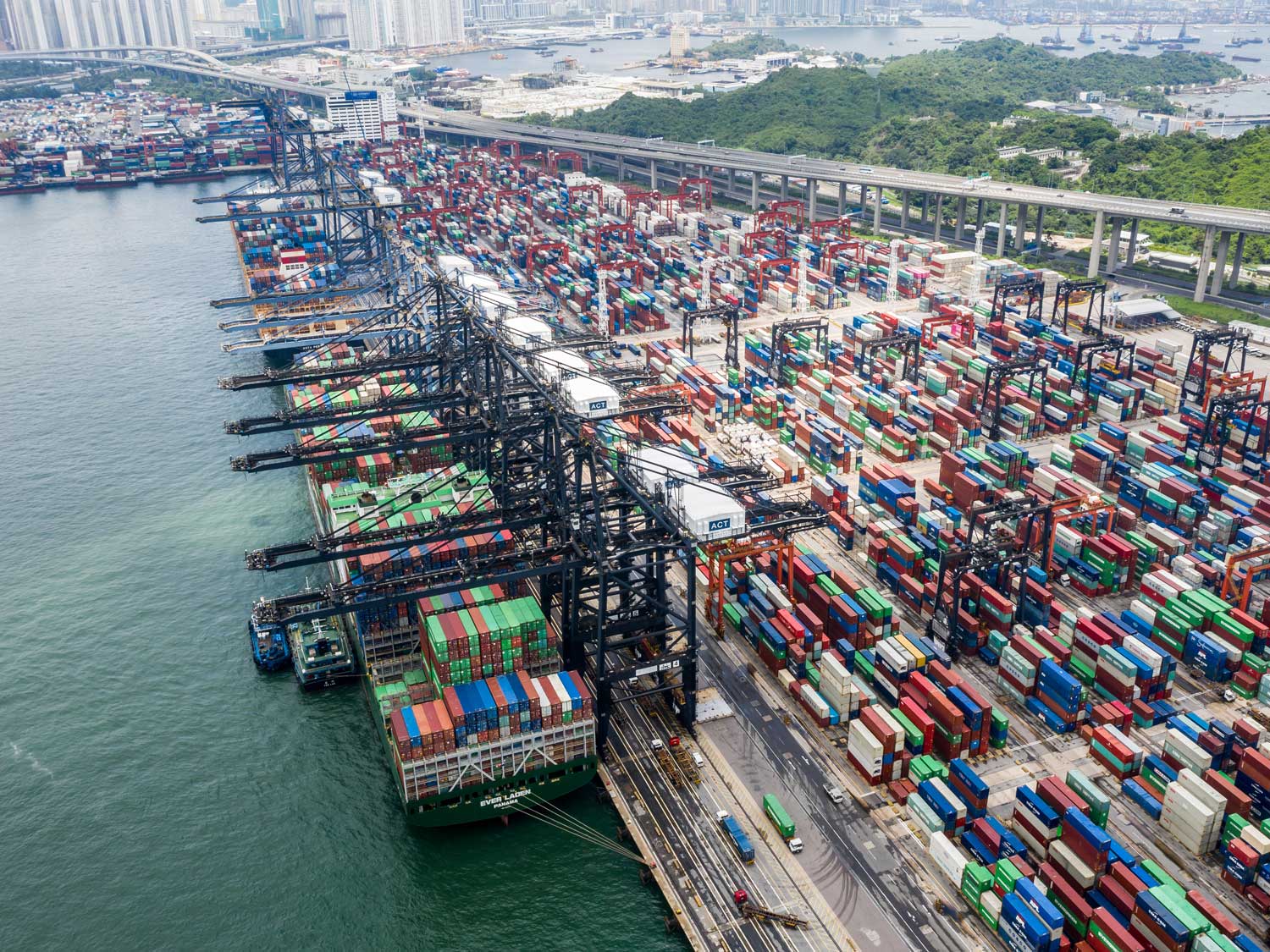 Port Congestion