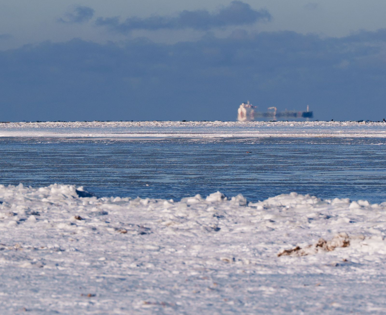 artic